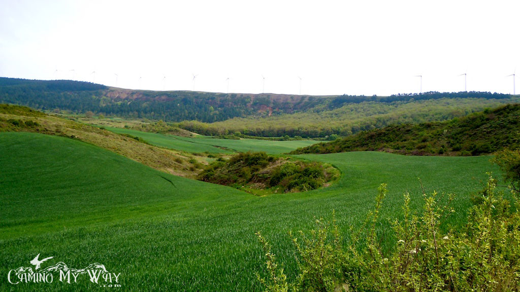 Farmland-and-scrubby-hills-Alto-del-Perd%C3%B3n-Camino-de-Santiago-Spain.jpg